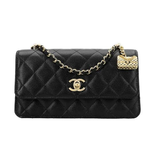 Chanel Woc Wallet On Chain 23S
